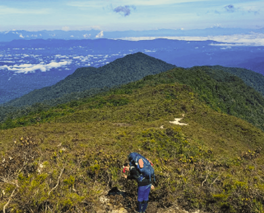 Summit sunrise at Mount Tahan