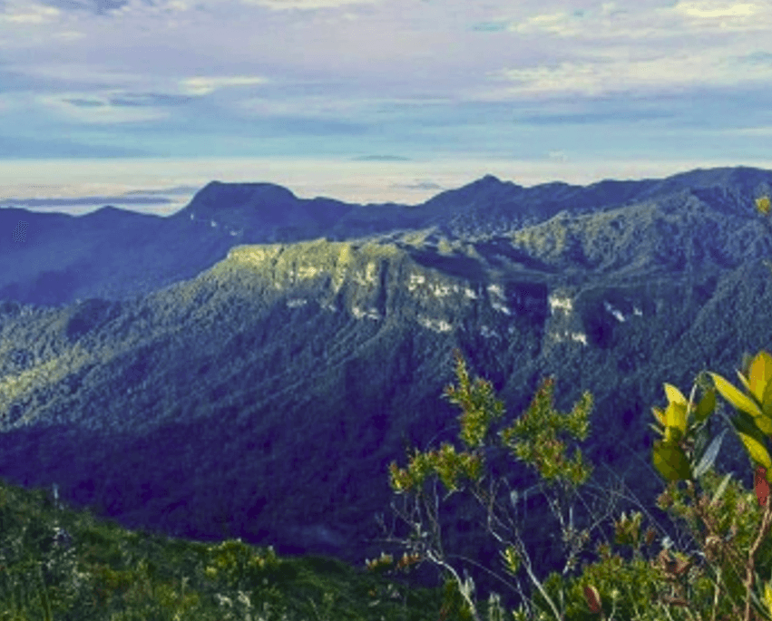 Malaysian rainforest adventure